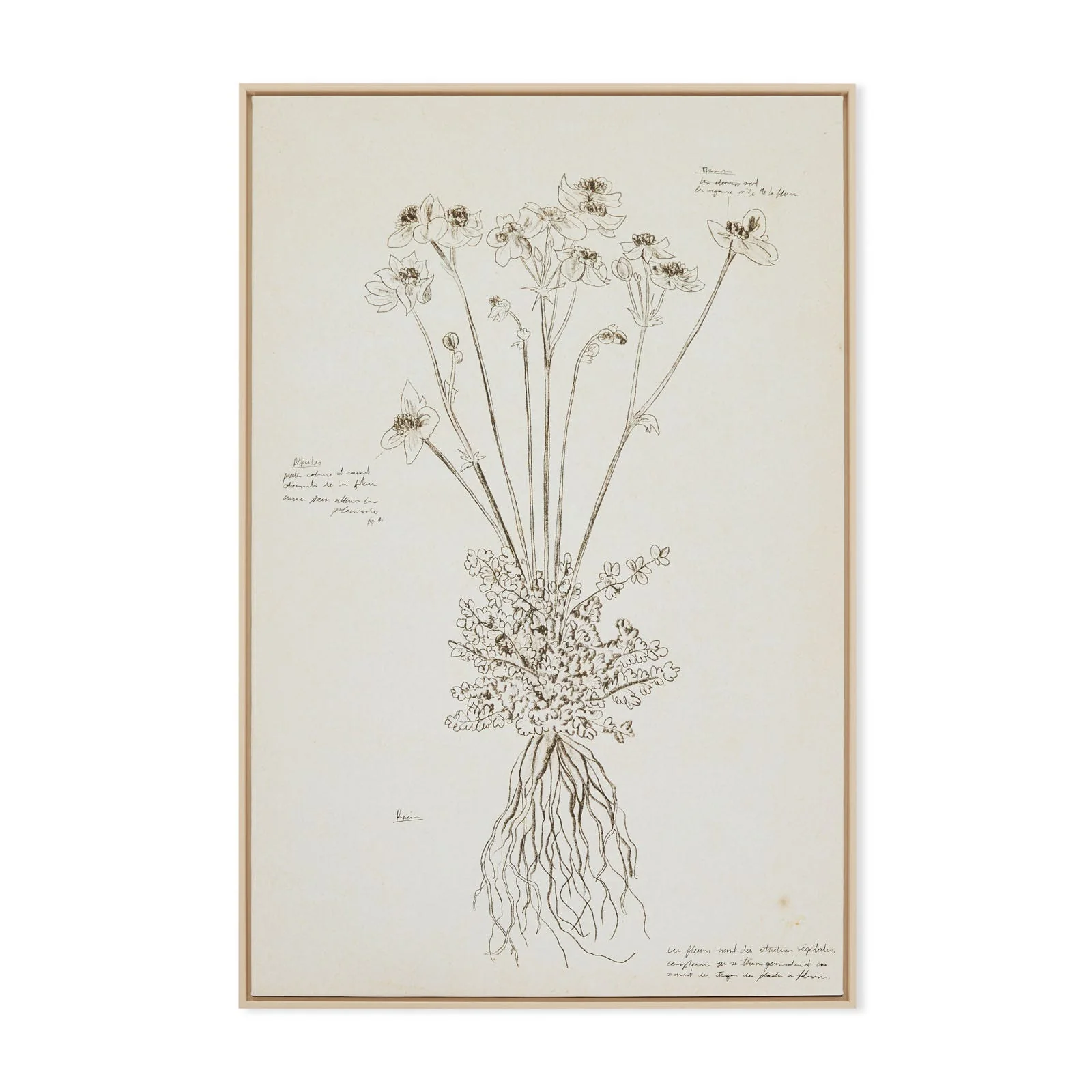 Botanique artwork