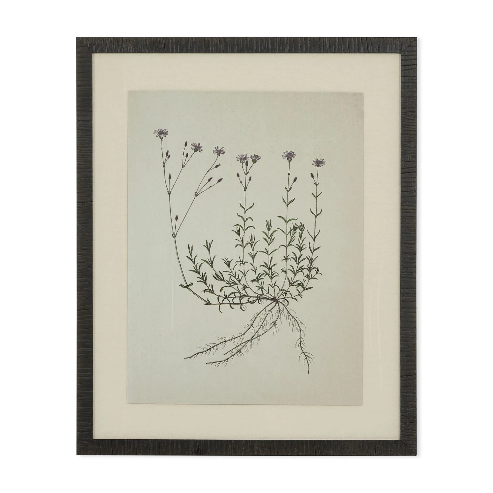 Natural botanical I artwork