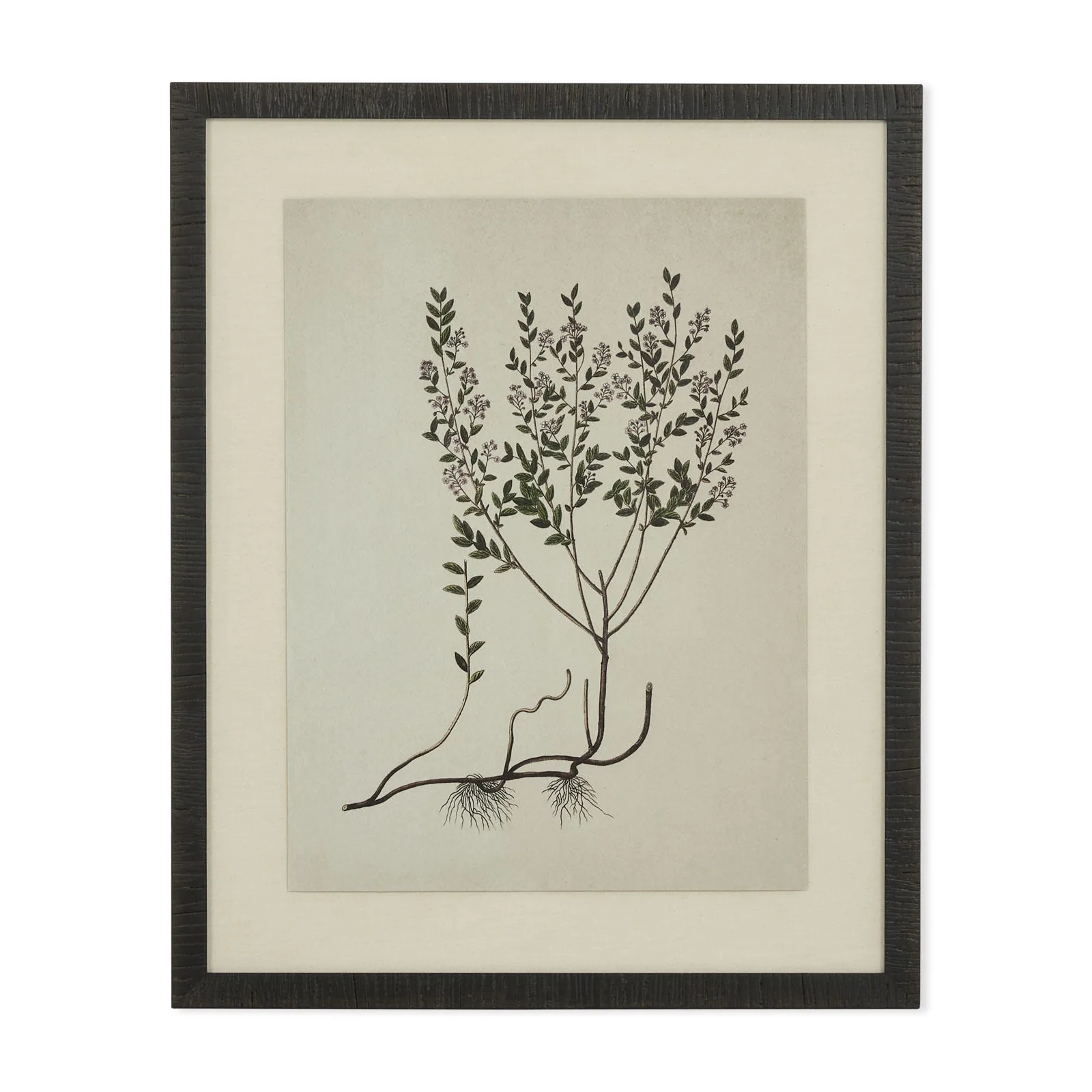 Natural botanical II artwork
