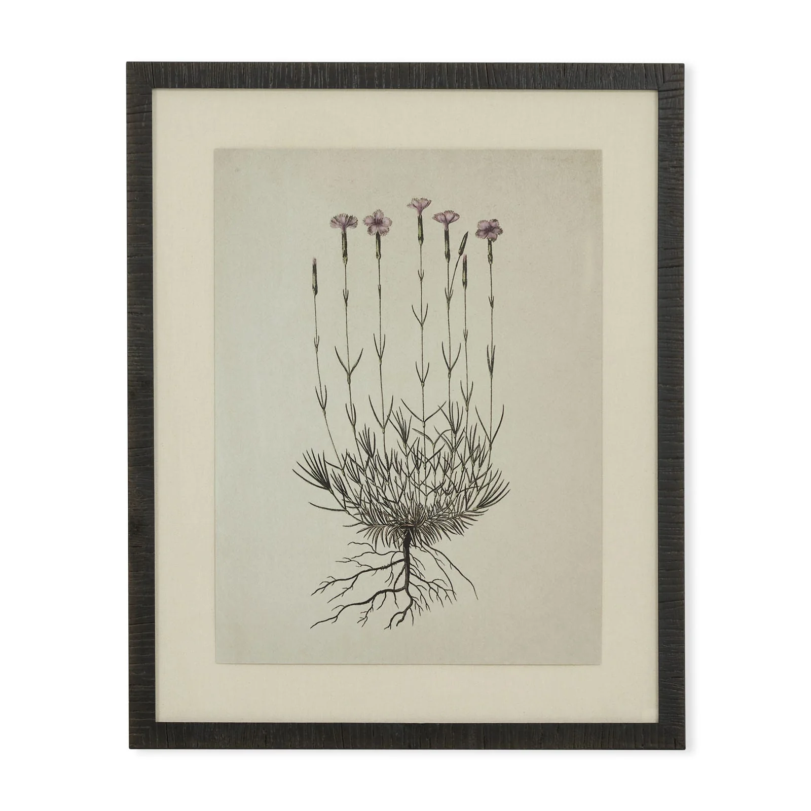 Natural botanical III artwork