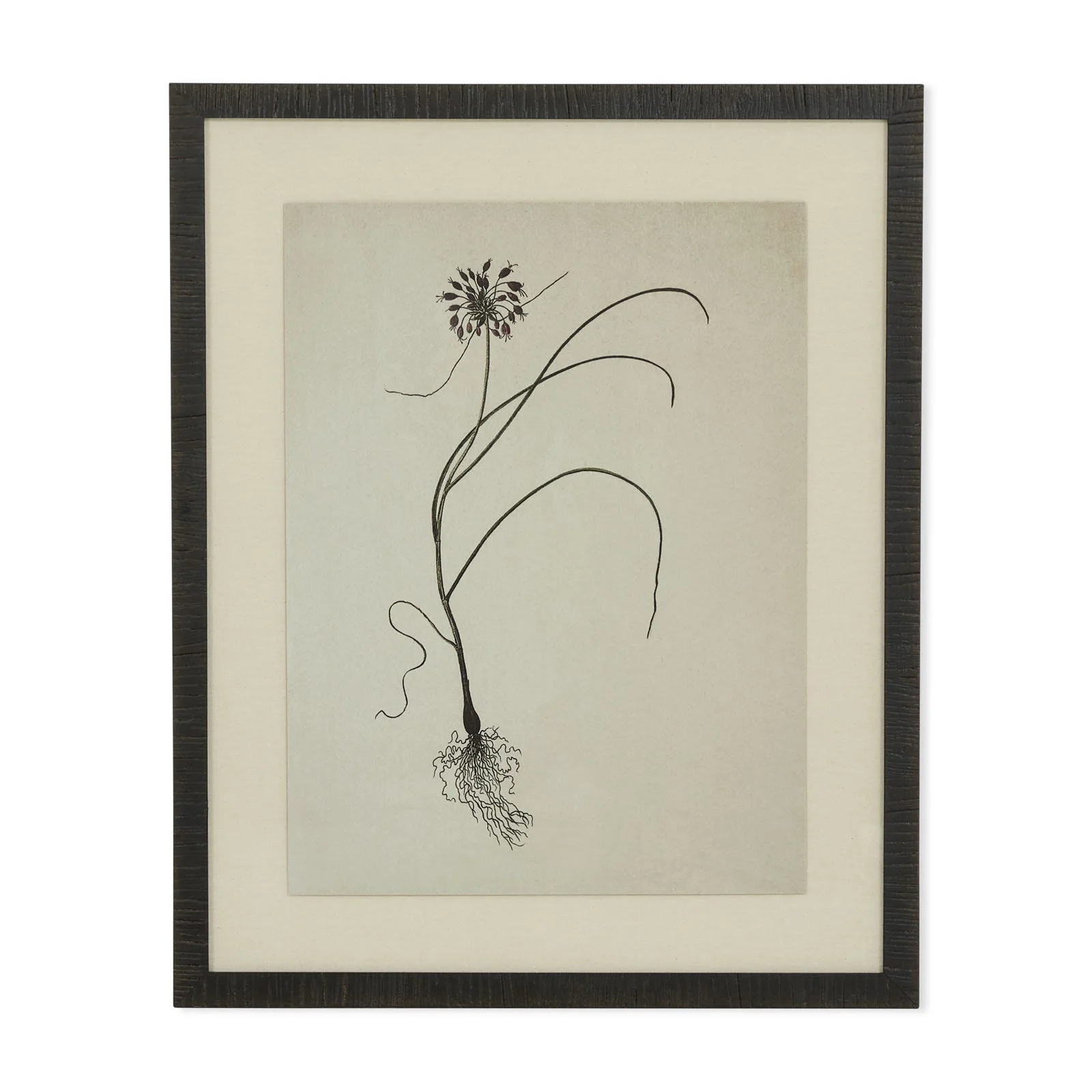 Natural botanical IV artwork