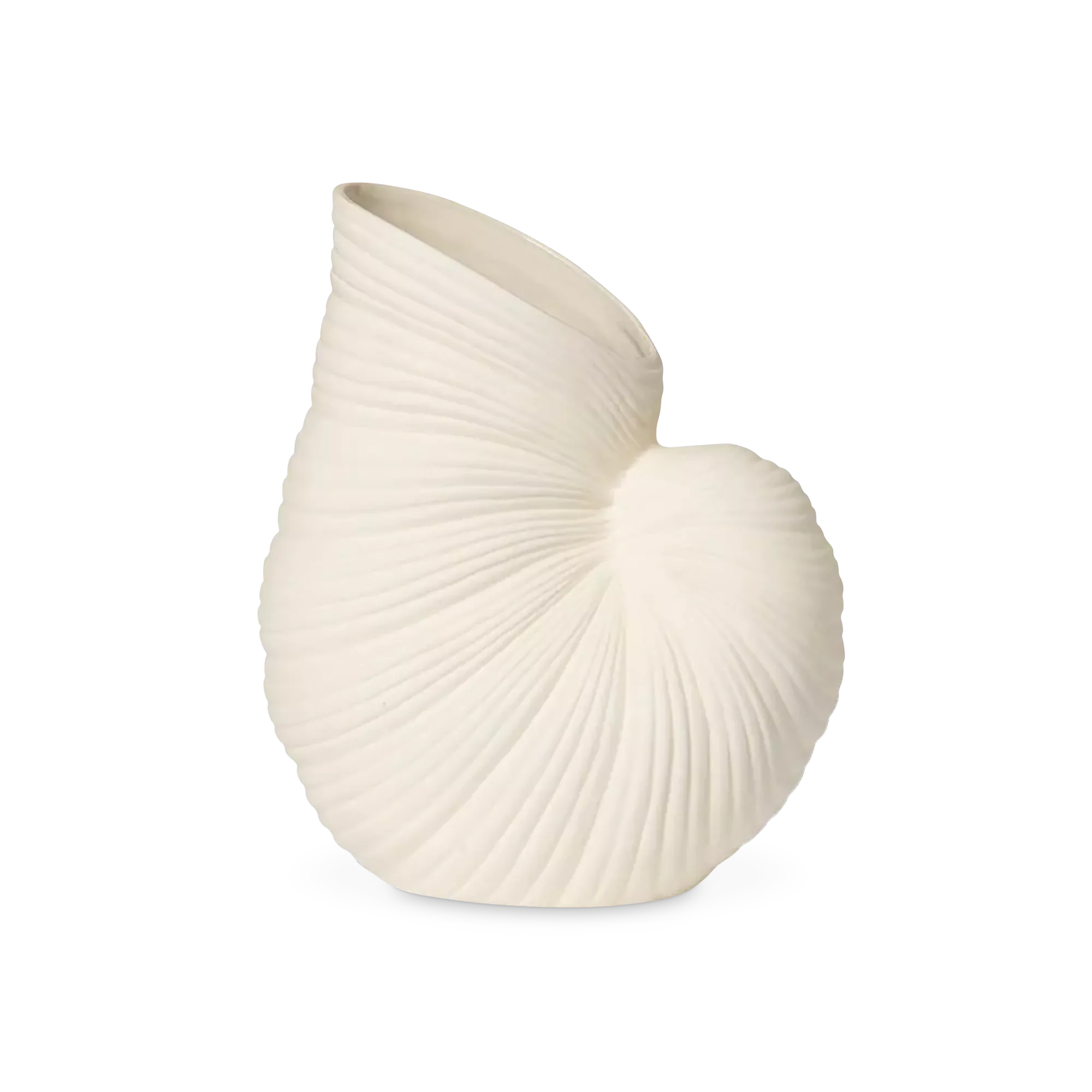 Shell - off-white ceramic decorative vase